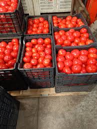 Caja tomates